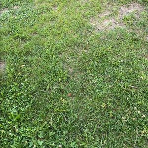 Meet your Posher, Travis